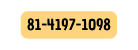 81 4197 1098